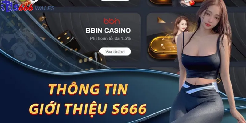 App S666 mượt mà, nhanh chóng App S666 mượt mà, nhanh chóng